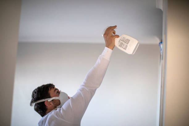 Best Mold Cleaning Services  in Makaha, HI