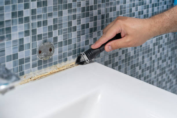 Best Best Mold Removal Companies  in Makaha, HI